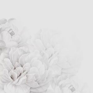 Meet your Posher, Zahara! <3